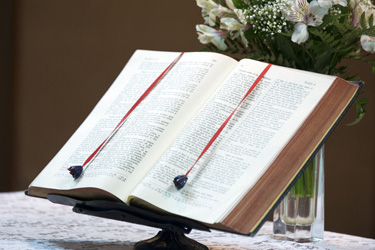 DocCheck: Darf ein Chefarzt Abtreibungen verhindern?